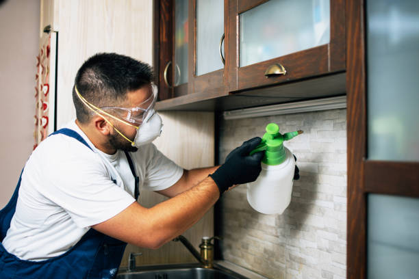 Best Termite Treatment Solutions in Flagler Beach, FL