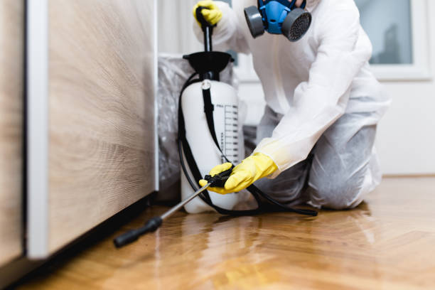 Expert Termite Control Services in Bartow, FL