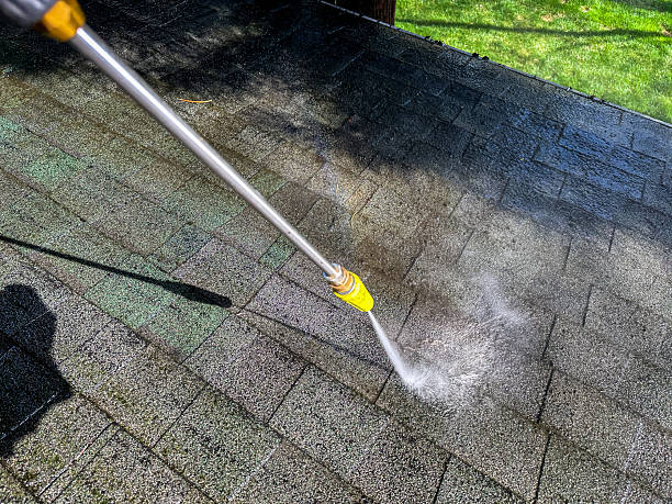 Clenrova Roof Cleaning