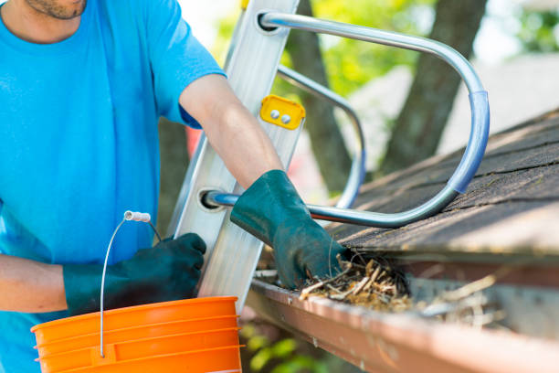 Professional Roof Cleaning Services in Walker County, AL