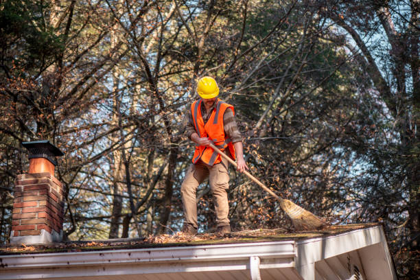 Expert Roof Cleaning Services in Carrollton, AL