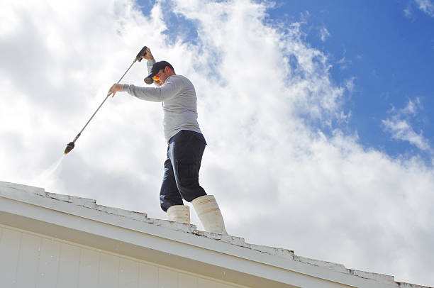 Expert Roof Moss and Algae Removal Company in Webb, AL