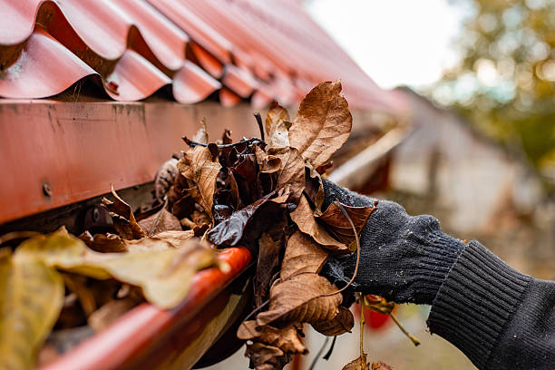 Best Roof Repair Services in Torrington, WY