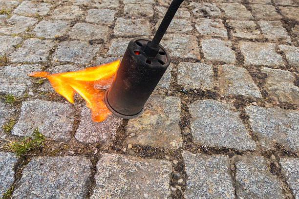 Certified Fire Damage Cleanup Services in Fort Payne, AL Ohio