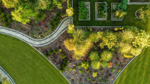 Trusted Backyard Landscape Construction Services in Pender County, NC