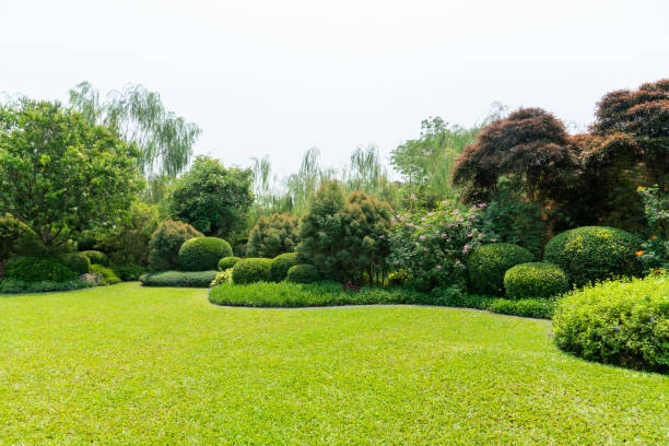 Leading Backyard Patio Builders in Pender County, NC