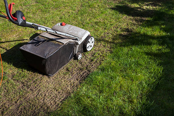 Expert Professional Lawn Care Professionals in Blue Ridge, GA