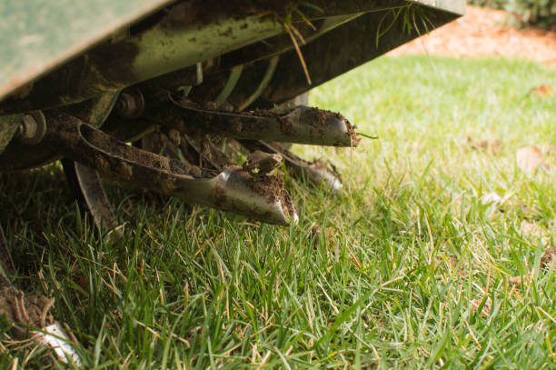 Expert Professional Lawn Care Specialists in Statenville, GA