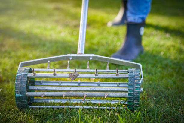 Top Lawn Aeration Specialists in Ludowici, GA
