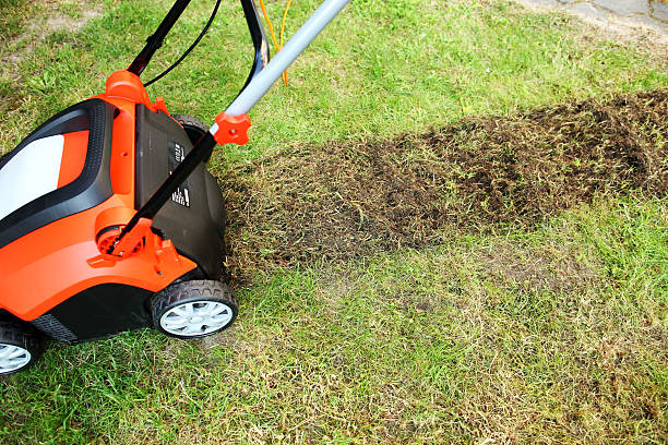 Best Professional Lawn Care Services in North Atlanta, GA