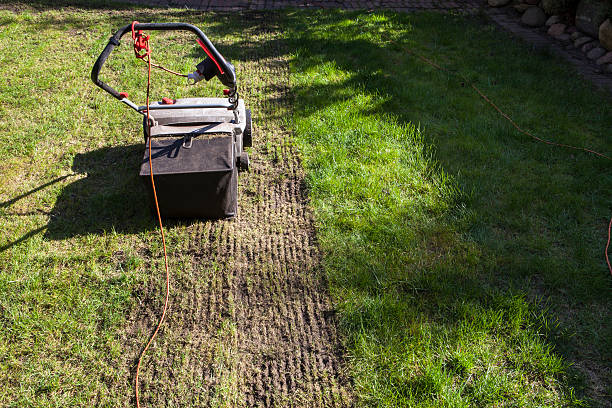 Best Lawn Aeration Professionals in Hall County, GA