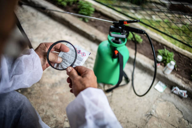 Trusted Green Pest Control Specialists in Chula Vista, CA
