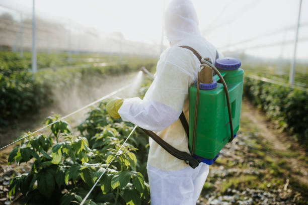 Best Pest Control Experts in University Place, WA