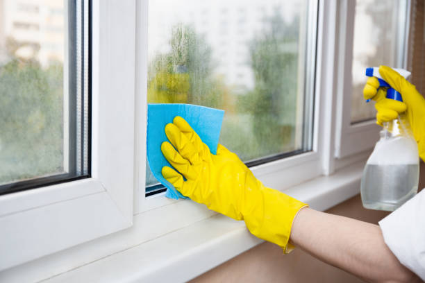 Streak-Free Professional Window Cleaning Services in Lamar, CO