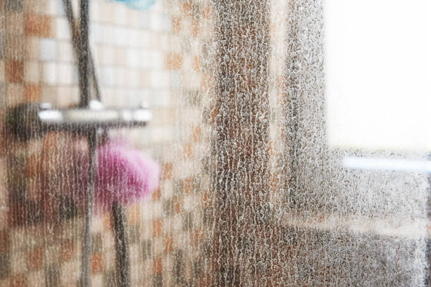 Frameless Glass Shower Door Installation in Wedgefield, FL