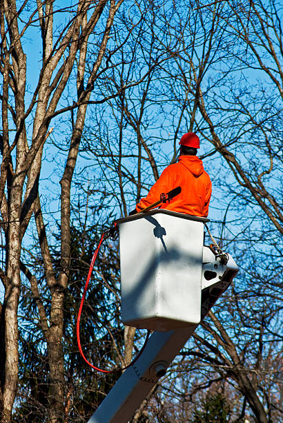 Verdantix Tree Leads