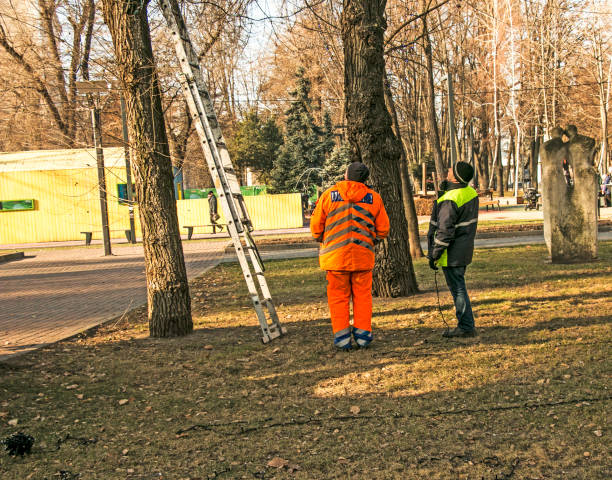 Trusted Tree Service Connections in Howell, MI
