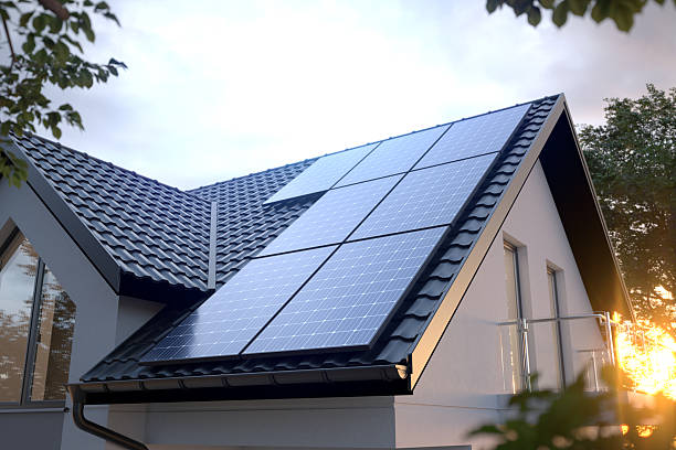 Lumivex Solar Panels