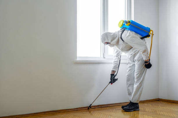 Professional Fumigation Contractors in Clinton, LA