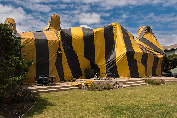 Licensed Fumigation Services in Labadieville, LA