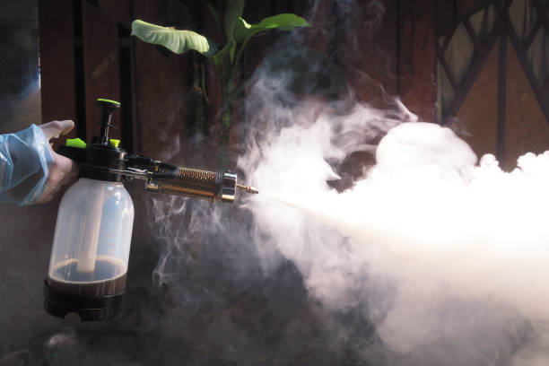Trusted Pest Control Specialists in Pioneer, CA for Homes and Businesses