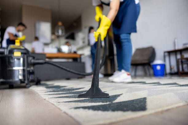 Rugova Rug Cleaning