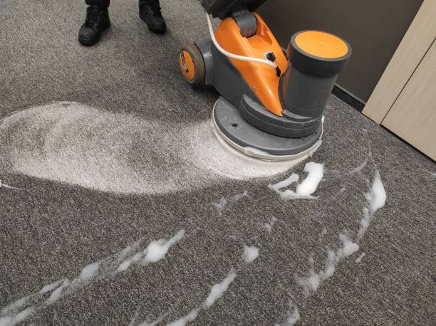 Professional Area Rug Cleaning Services in Gang Mills, NY