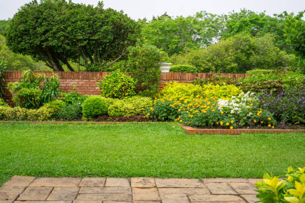 Top Residential Lawn Care Services in Heber-Overgaard, AZ