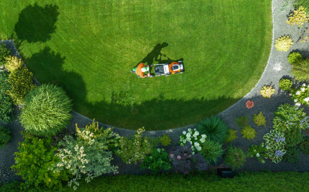 Top Lawn Maintenance Specialists in Paulden, AZ