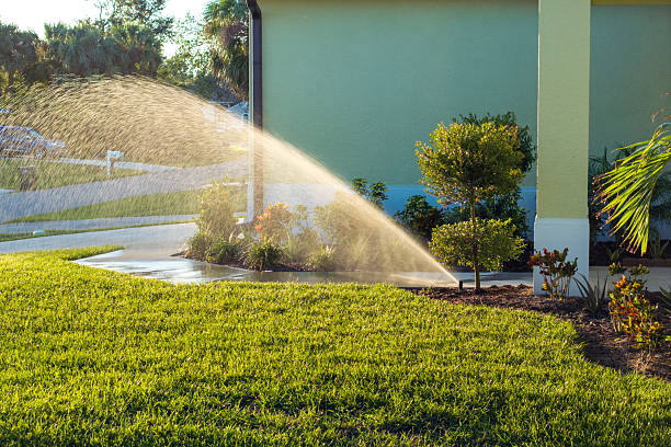 Reliable Property Maintenance Services in Tubac, AZ
