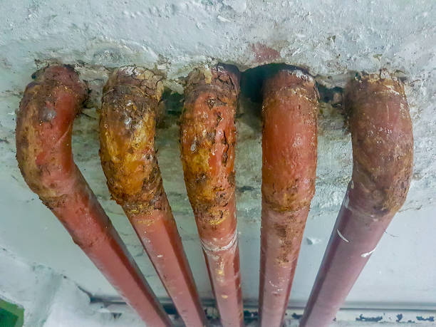 Top-Rated Plumbing Solutions in Coolidge, AZ North Carolina