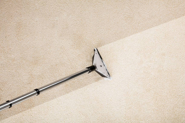 Top Deep Carpet Care Solutions in Hudspeth County, TX
