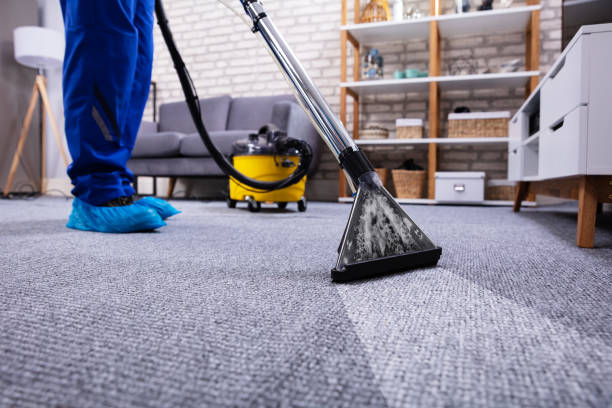 Expert Carpet Cleaning Experts in Bunker Hill Village, TX