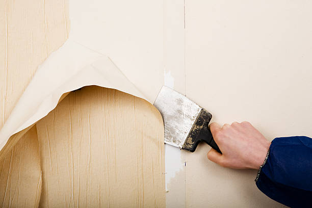 Best Wallpaper Stripping and Prep Solutions in Montrose, VA