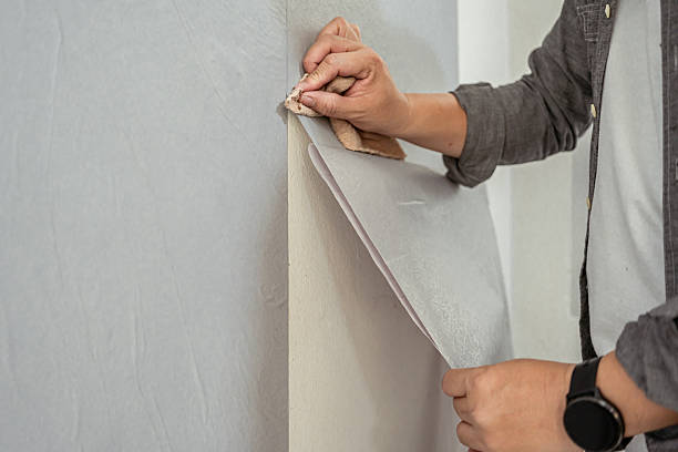 Best Wallpaper Stripping Services in Brandermill, VA