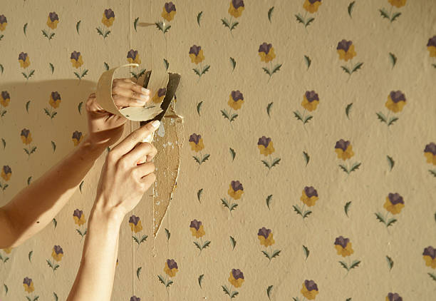 Trusted Wallpaper Removal Solutions in Hollymead, VA