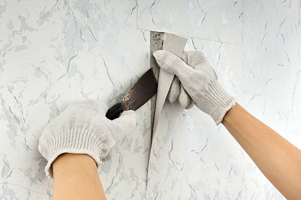 Trusted Wallpaper Stripping and Prep Services in Rose Hill, VA