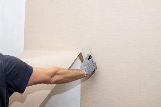 Best Wallpaper Stripping Specialists in Louisa, VA