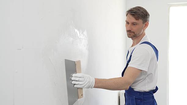 Novaplast Plaster Repair