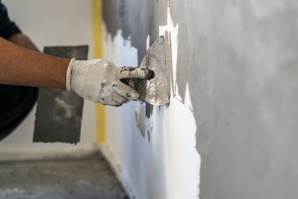 Best Plaster Wall and Ceiling Specialists in New Marlborough, MA