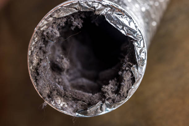 Expert Dryer Vent Safety Services in Fruitland, NC