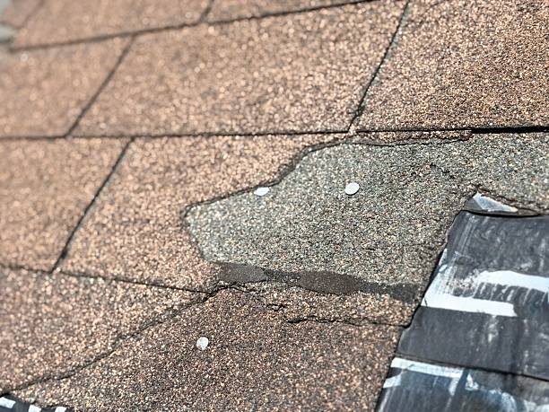 Expert Roof Tile Services in Soda Bay, CA