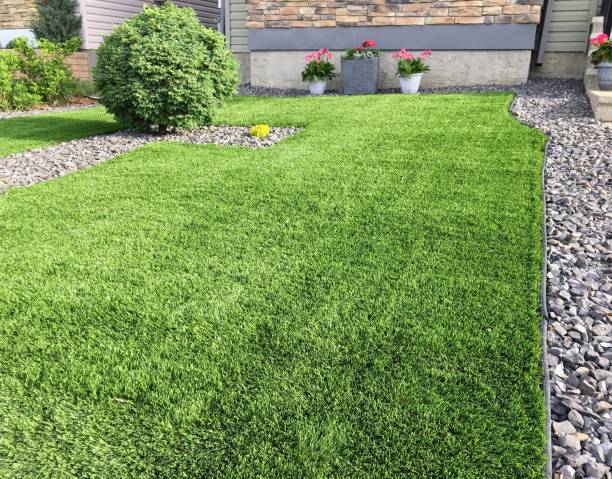 Expert Synthetic Turf Solutions in Ely, NV