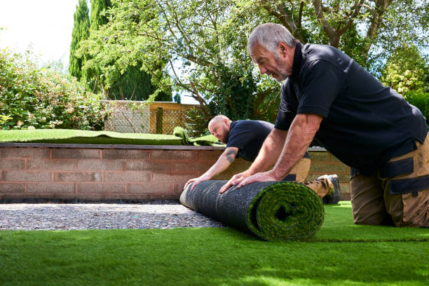 Professional Synthetic Turf Installation in Stagecoach, NV