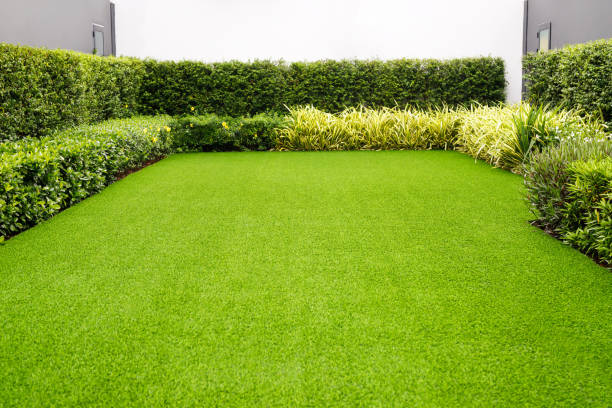 Expert Synthetic Turf Solutions in Pioche, NV