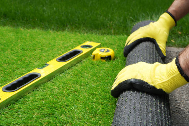 Top Artificial Turf Installation in Bunkerville, NV
