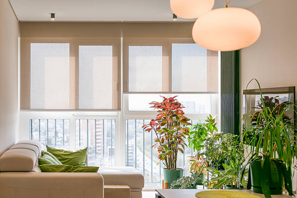 Trusted Window Blind Installation in Clarkdale, AZ