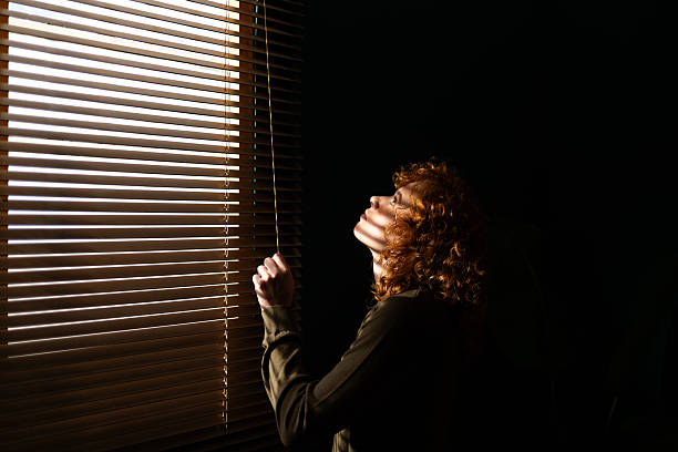 Trusted Window Treatment Installation in Dolan Springs, AZ