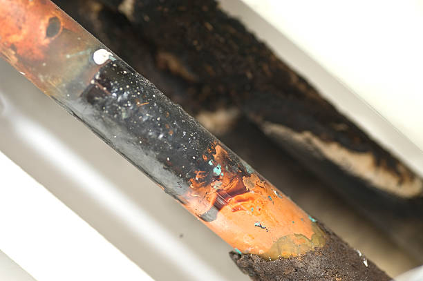 24/7 Water Damage Cleanup Experts in Mahanoy City, PA Florida