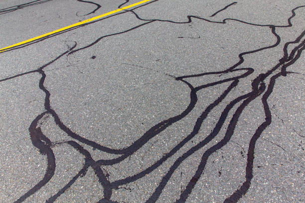 Expert Pavement Repair Services in Harriman, TN